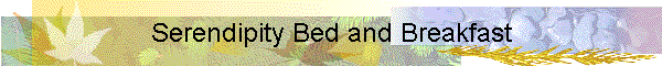 Serendipity Bed and Breakfast